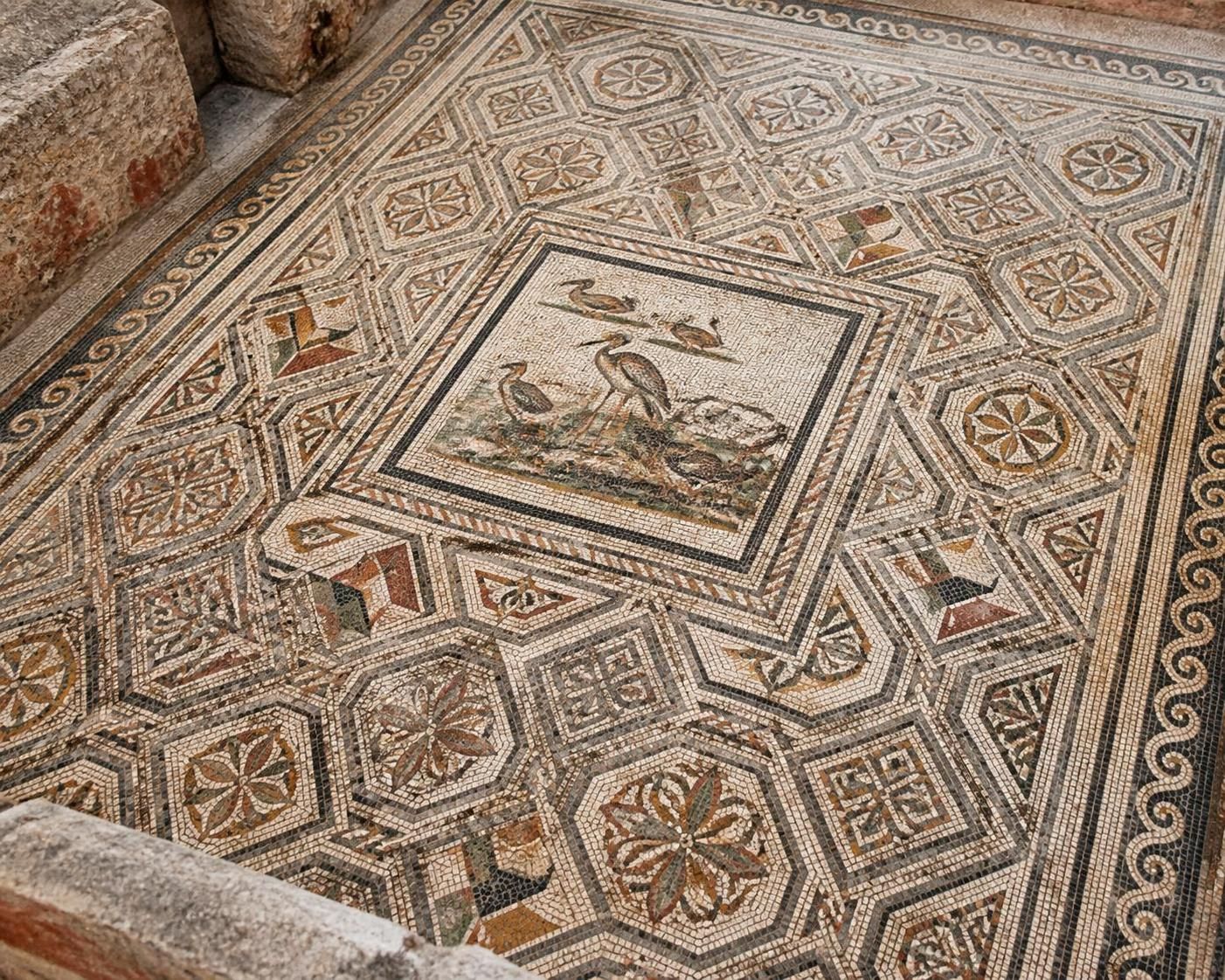 le catalogue raisonné des sols domestiques en mosaïques de pompéi, une analyse détaillée et illustrée des œuvres artistiques antiques.