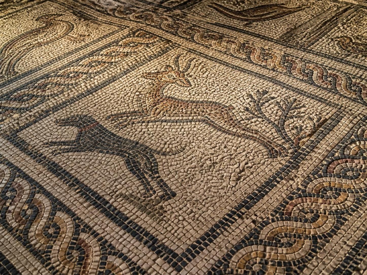 les magnifiques mosaïques romaines de turquie, explorez les sites archéologiques et leurs trésors artistiques uniques datant de l'antiquité.